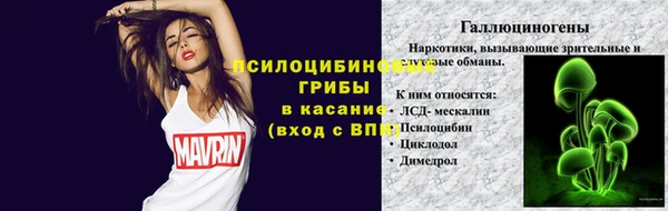 гашик Абаза