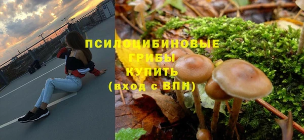 гашик Абаза