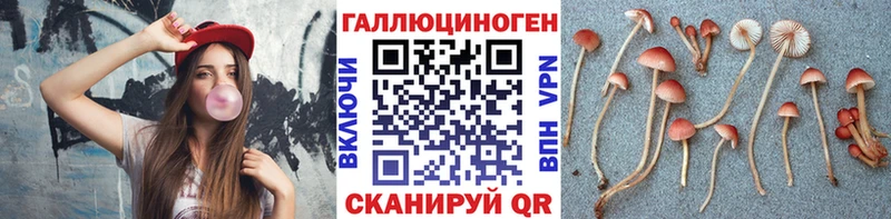 KRAKEN как зайти  Таганрог  Галлюциногенные грибы GOLDEN TEACHER 